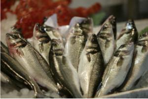 Photo credit: Fish – Rob Parham