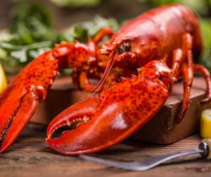 live lobster on a cutting board