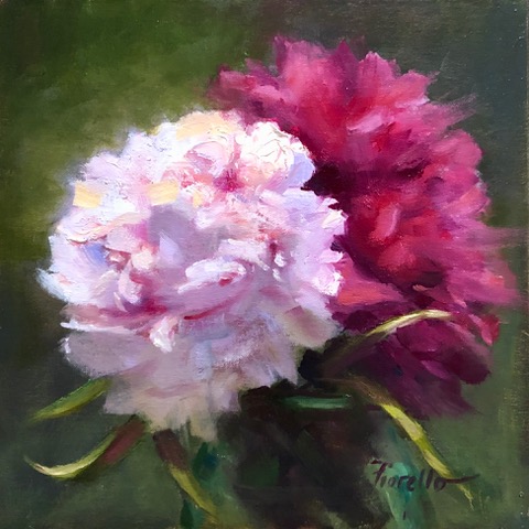 PFiorello-Peonies-in-Pink